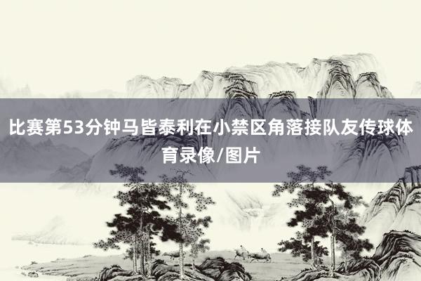 比赛第53分钟马皆泰利在小禁区角落接队友传球体育录像/图片