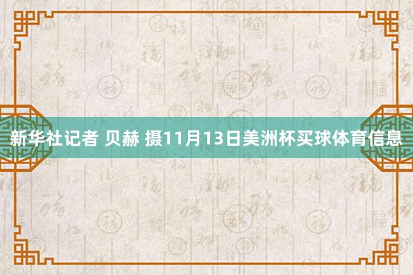 新华社记者 贝赫 摄11月13日美洲杯买球体育信息