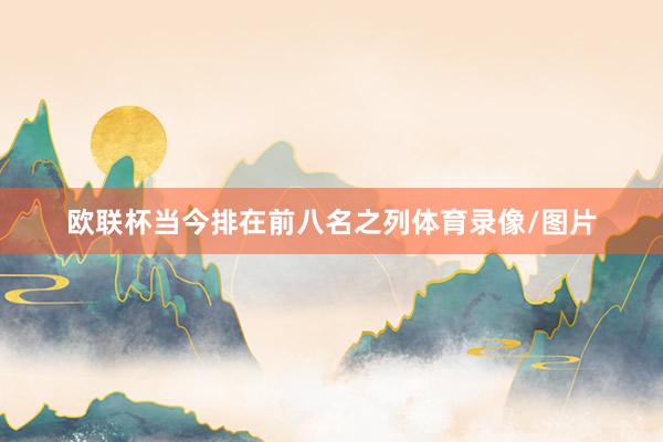 欧联杯当今排在前八名之列体育录像/图片