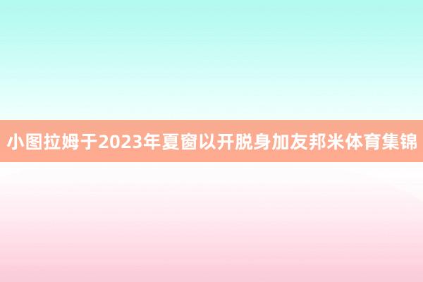 小图拉姆于2023年夏窗以开脱身加友邦米体育集锦