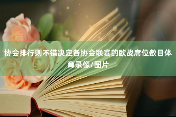 协会排行则不错决定各协会联赛的欧战席位数目体育录像/图片