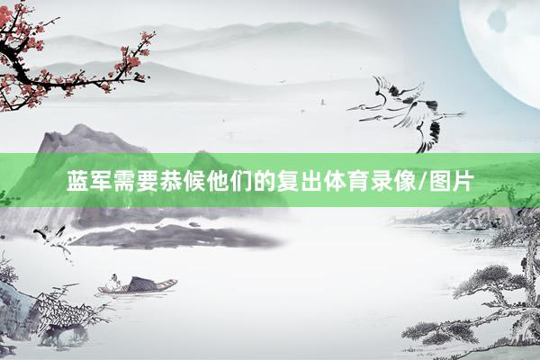 蓝军需要恭候他们的复出体育录像/图片