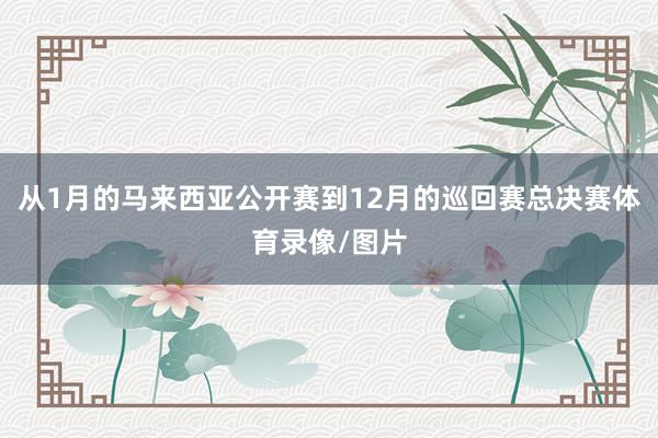 从1月的马来西亚公开赛到12月的巡回赛总决赛体育录像/图片