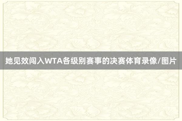 她见效闯入WTA各级别赛事的决赛体育录像/图片