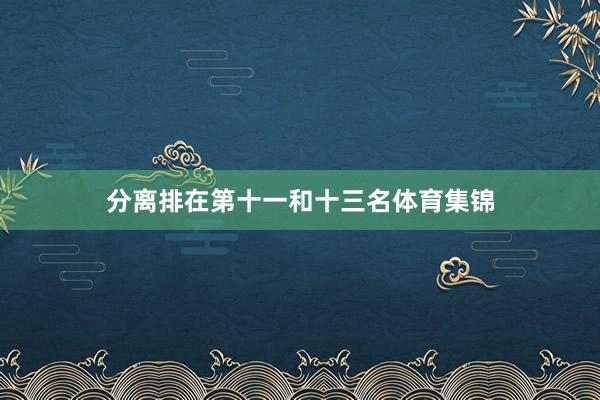 分离排在第十一和十三名体育集锦