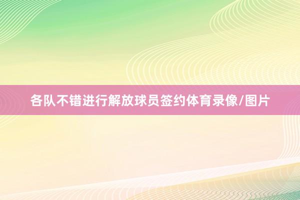 各队不错进行解放球员签约体育录像/图片