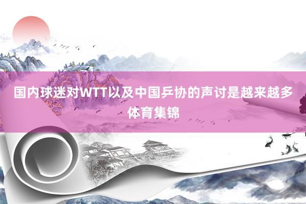 国内球迷对WTT以及中国乒协的声讨是越来越多体育集锦