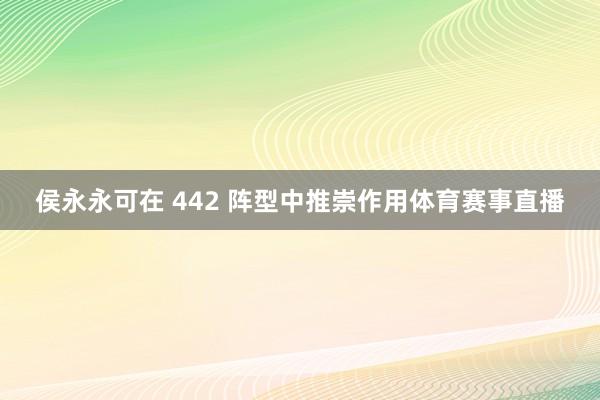 侯永永可在 442 阵型中推崇作用体育赛事直播