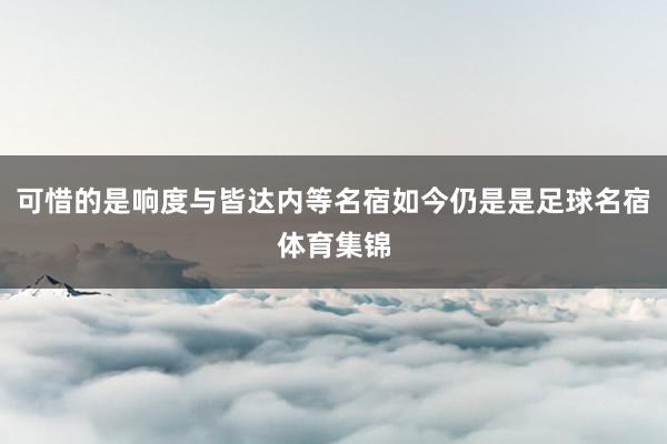 可惜的是响度与皆达内等名宿如今仍是是足球名宿体育集锦