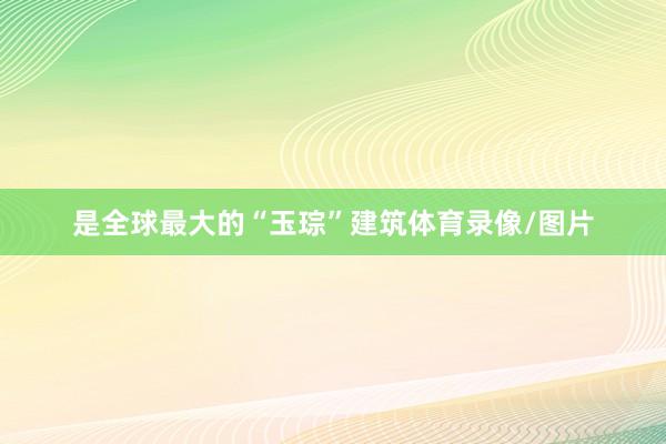 是全球最大的“玉琮”建筑体育录像/图片