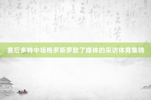 赛后多特中场格罗斯罗致了媒体的采访体育集锦