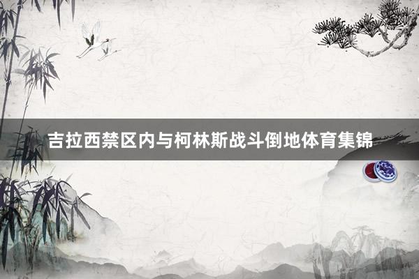 吉拉西禁区内与柯林斯战斗倒地体育集锦