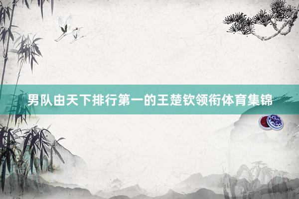 男队由天下排行第一的王楚钦领衔体育集锦