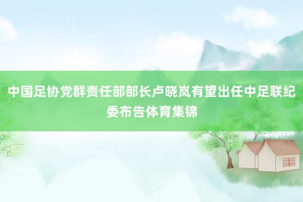 中国足协党群责任部部长卢晓岚有望出任中足联纪委布告体育集锦