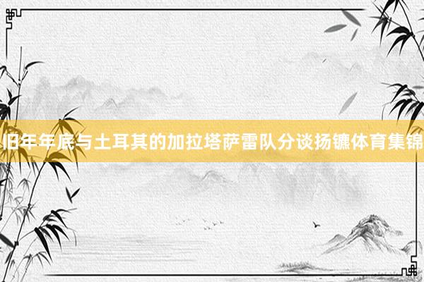 旧年年底与土耳其的加拉塔萨雷队分谈扬镳体育集锦