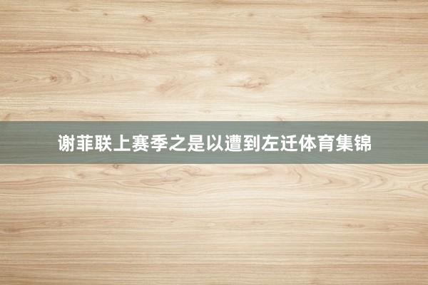 谢菲联上赛季之是以遭到左迁体育集锦