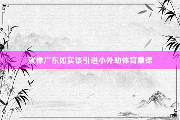 就像广东如实该引进小外助体育集锦