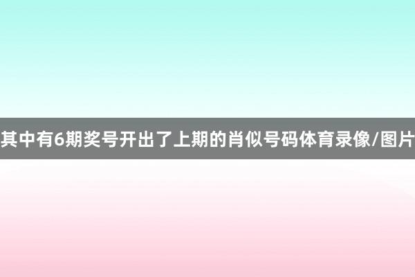 其中有6期奖号开出了上期的肖似号码体育录像/图片