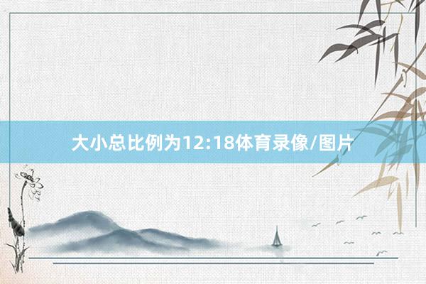 大小总比例为12:18体育录像/图片