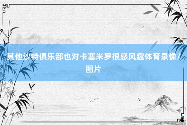 其他沙特俱乐部也对卡塞米罗很感风趣体育录像/图片