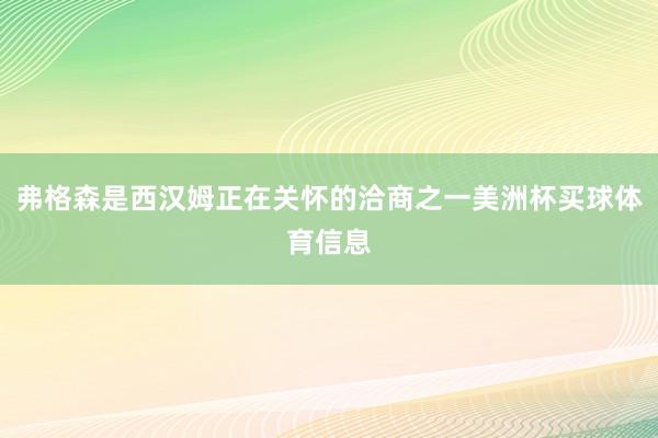 弗格森是西汉姆正在关怀的洽商之一美洲杯买球体育信息