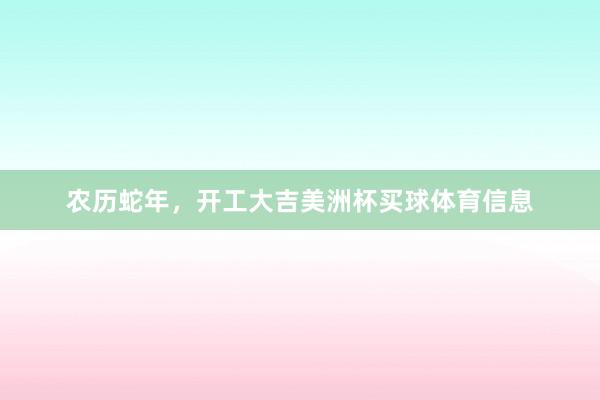 农历蛇年，开工大吉美洲杯买球体育信息