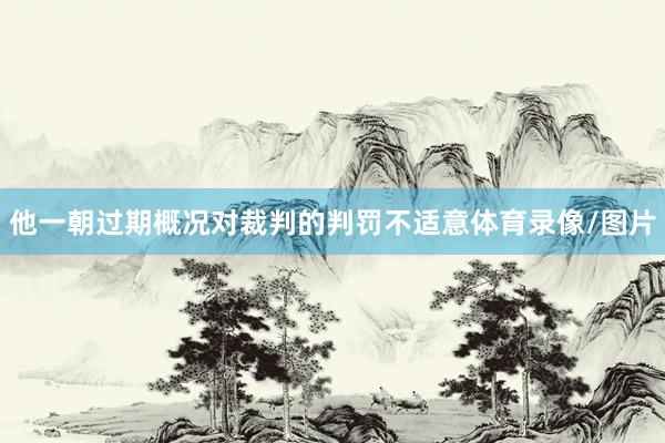他一朝过期概况对裁判的判罚不适意体育录像/图片