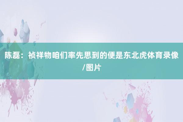 陈磊：祯祥物咱们率先思到的便是东北虎体育录像/图片