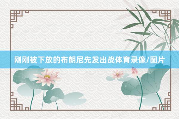 刚刚被下放的布朗尼先发出战体育录像/图片
