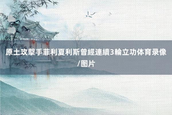 原土攻擊手菲利夏利斯曾經連續3輪立功体育录像/图片