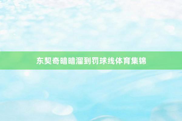 东契奇暗暗溜到罚球线体育集锦
