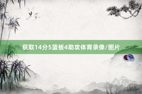 获取14分5篮板4助攻体育录像/图片