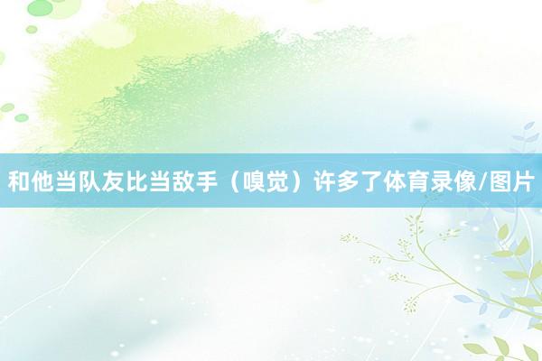 和他当队友比当敌手（嗅觉）许多了体育录像/图片