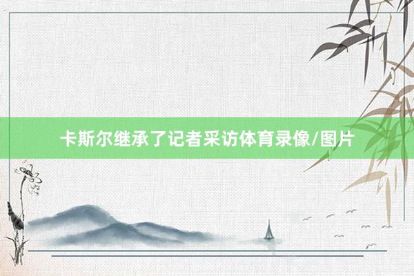 卡斯尔继承了记者采访体育录像/图片