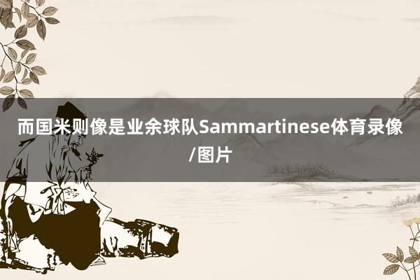 而国米则像是业余球队Sammartinese体育录像/图片