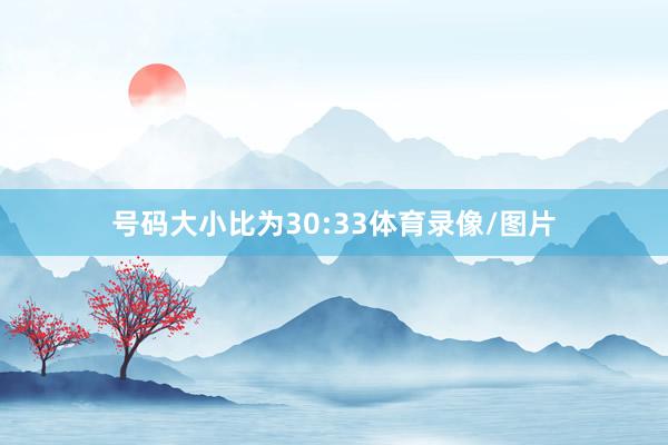 号码大小比为30:33体育录像/图片