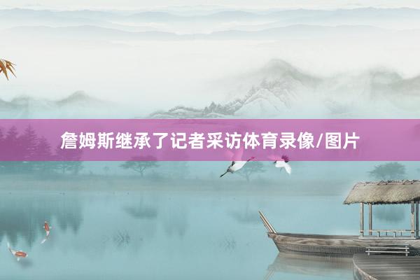 詹姆斯继承了记者采访体育录像/图片