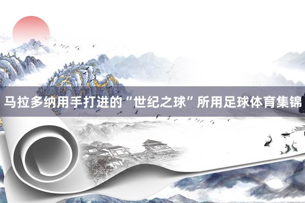 马拉多纳用手打进的“世纪之球”所用足球体育集锦