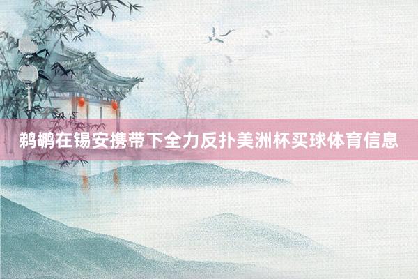 鹈鹕在锡安携带下全力反扑美洲杯买球体育信息