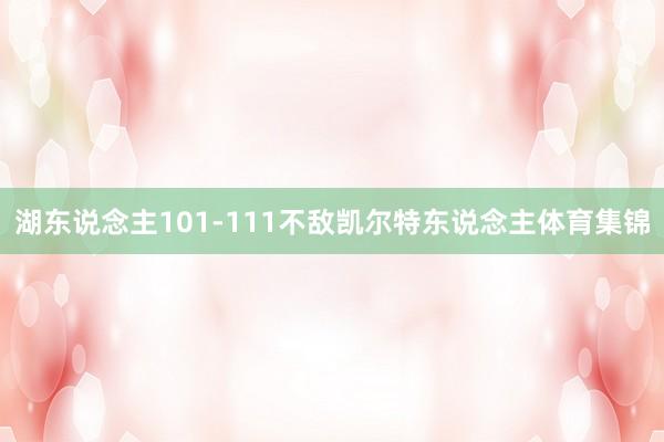 湖东说念主101-111不敌凯尔特东说念主体育集锦