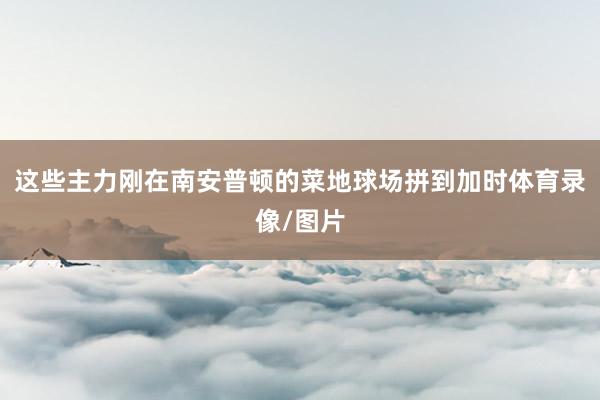 这些主力刚在南安普顿的菜地球场拼到加时体育录像/图片