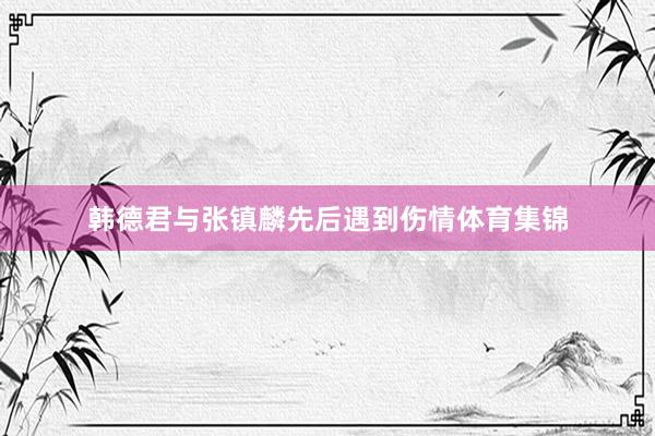 韩德君与张镇麟先后遇到伤情体育集锦