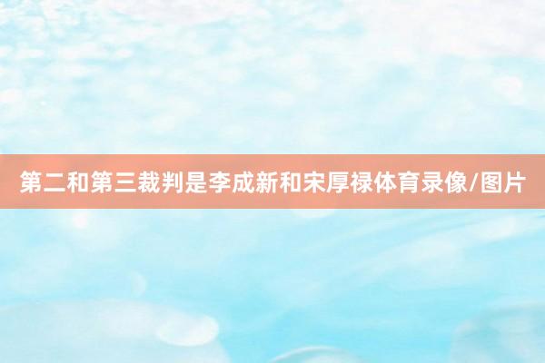 第二和第三裁判是李成新和宋厚禄体育录像/图片
