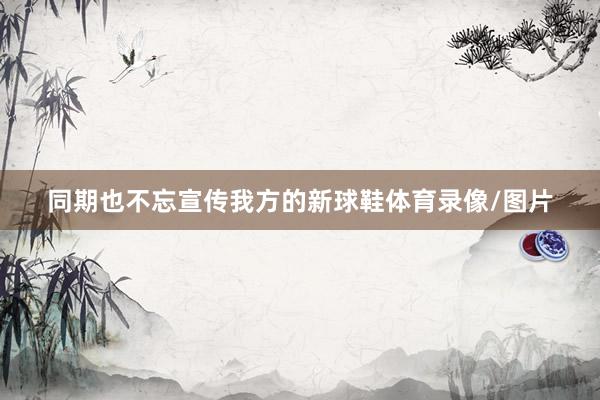 同期也不忘宣传我方的新球鞋体育录像/图片