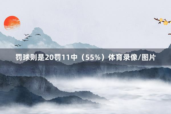 罚球则是20罚11中（55%）体育录像/图片