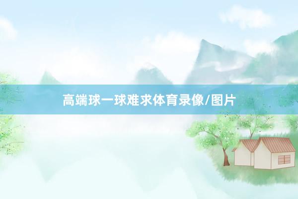 高端球一球难求体育录像/图片