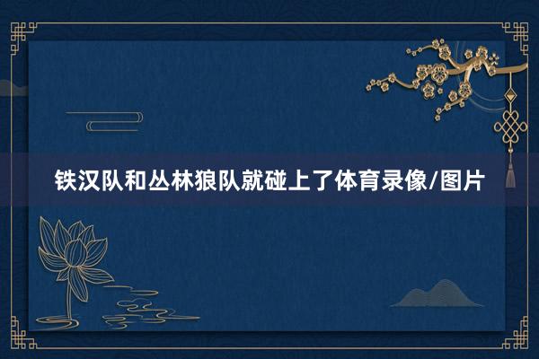 铁汉队和丛林狼队就碰上了体育录像/图片