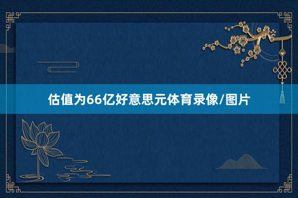 估值为66亿好意思元体育录像/图片