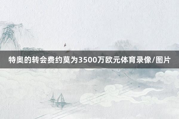 特奥的转会费约莫为3500万欧元体育录像/图片