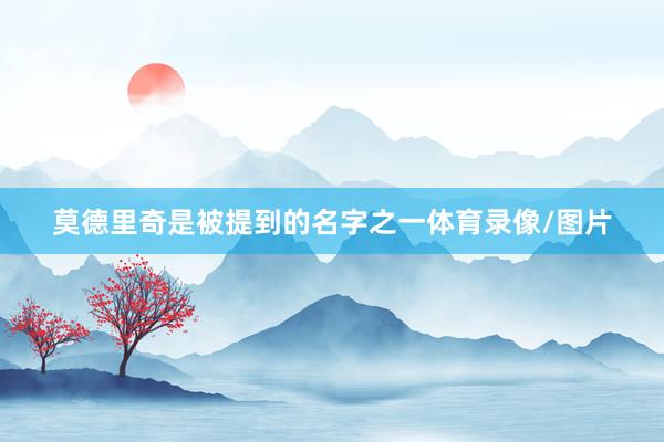 莫德里奇是被提到的名字之一体育录像/图片
